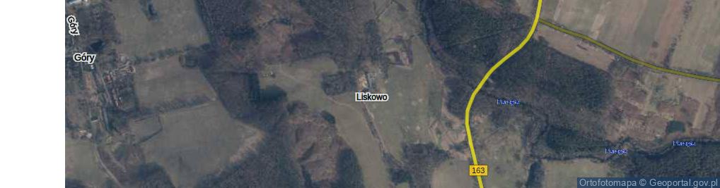 Zdjęcie satelitarne Liskowo ul.