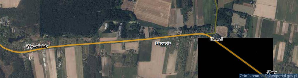Zdjęcie satelitarne Lisowola ul.