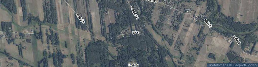Zdjęcie satelitarne Lisa ul.