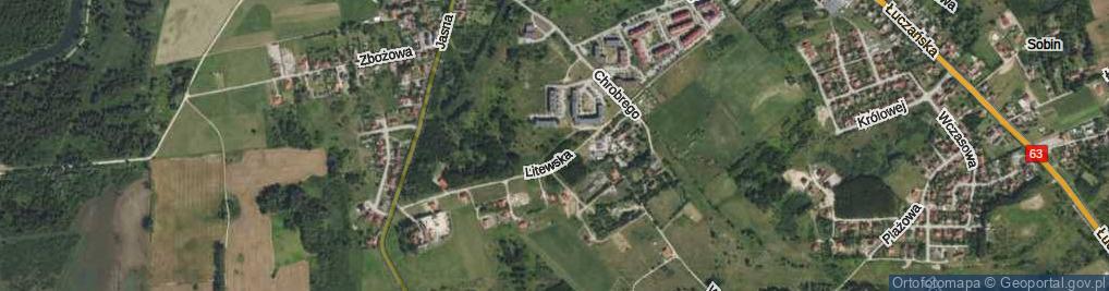 Zdjęcie satelitarne Litewska ul.