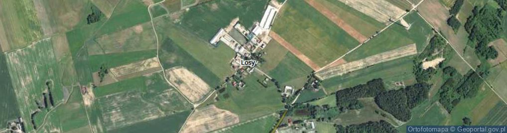 Zdjęcie satelitarne Losy ul.