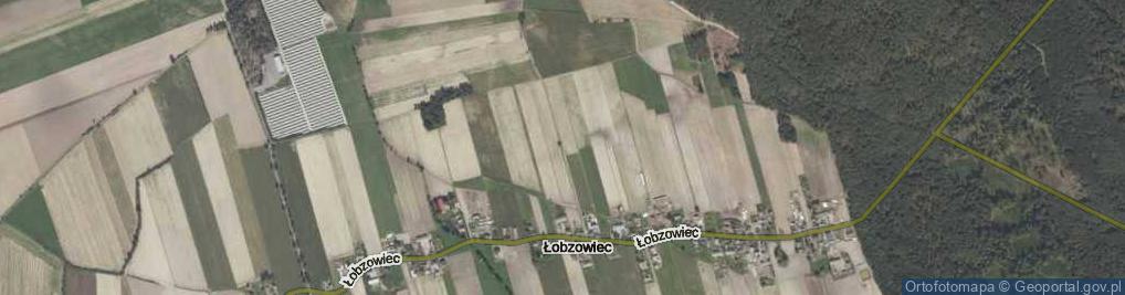 Zdjęcie satelitarne Łobzowiec ul.