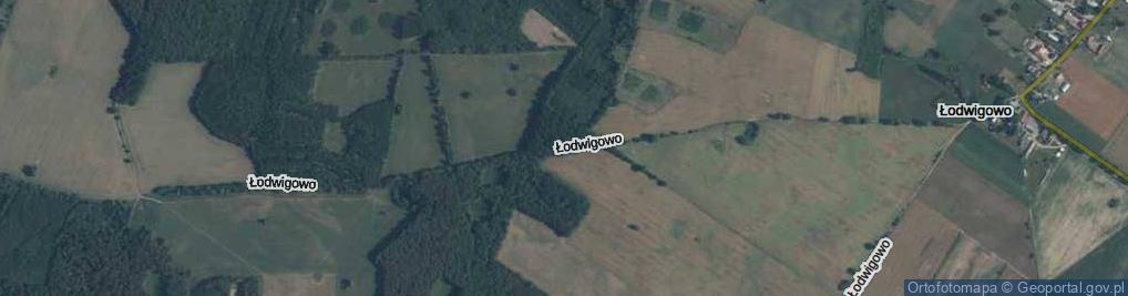 Zdjęcie satelitarne Łodwigowo ul.