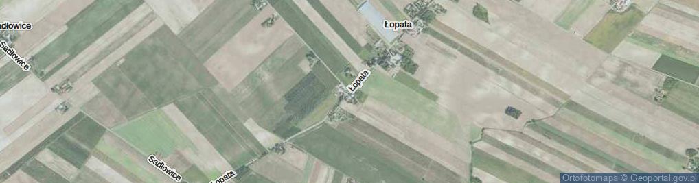 Zdjęcie satelitarne Łopata ul.