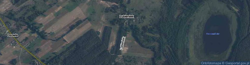 Zdjęcie satelitarne Lubieniek ul.