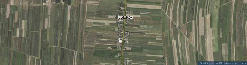 Zdjęcie satelitarne Ludwików ul.