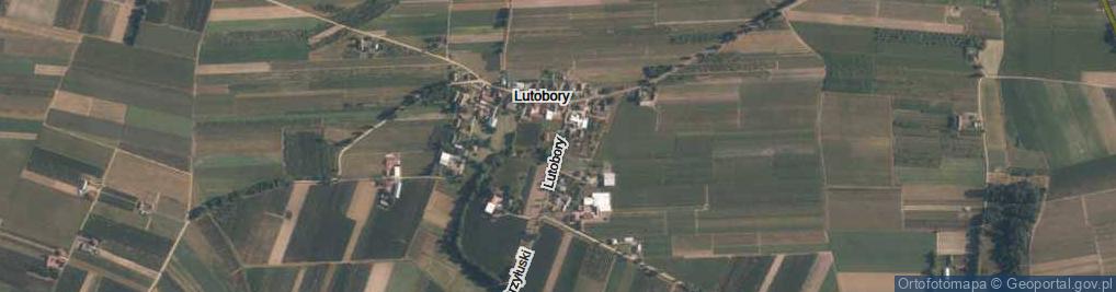 Zdjęcie satelitarne Lutobory ul.