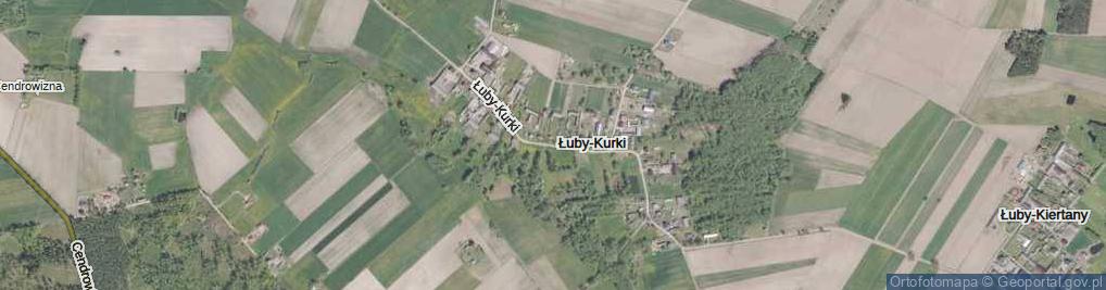 Zdjęcie satelitarne Łuby-Kurki ul.