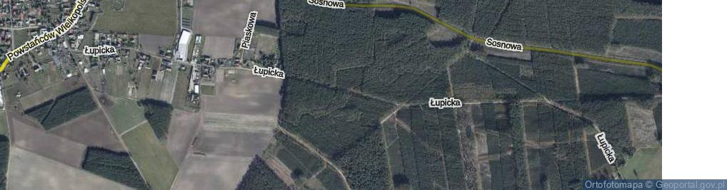 Zdjęcie satelitarne Łupicka ul.
