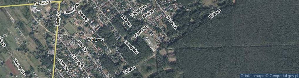 Zdjęcie satelitarne Lwiej Paszczy ul.