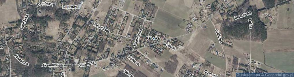 Zdjęcie satelitarne Malwowa ul.