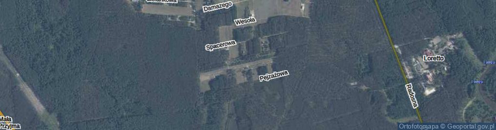 Zdjęcie satelitarne Malownicza ul.