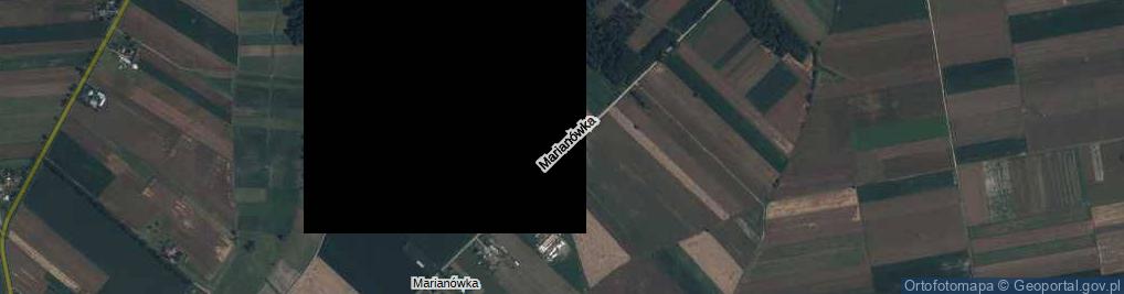 Zdjęcie satelitarne Marianówka ul.