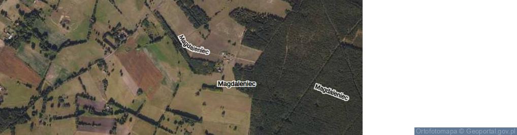 Zdjęcie satelitarne Magdaleniec ul.