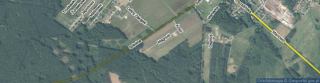 Zdjęcie satelitarne Magnolii ul.