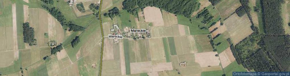 Zdjęcie satelitarne Mareckie ul.