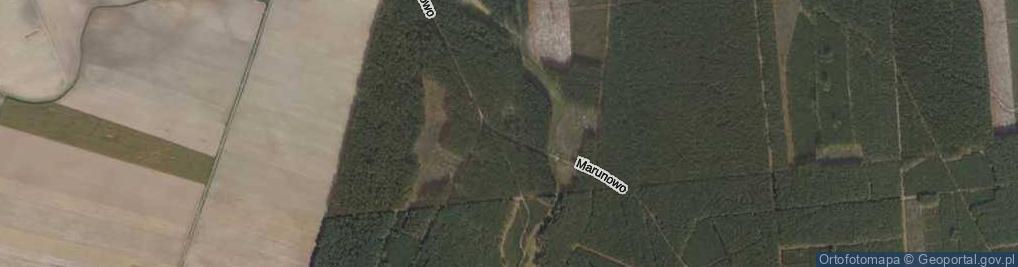 Zdjęcie satelitarne Marunowo ul.