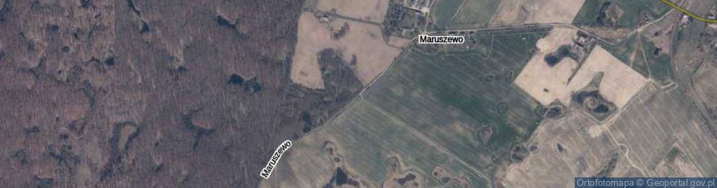 Zdjęcie satelitarne Maruszewo ul.