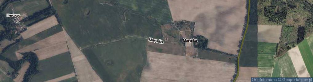 Zdjęcie satelitarne Marynka ul.