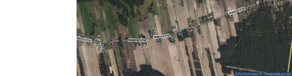 Zdjęcie satelitarne Małoszyna ul.