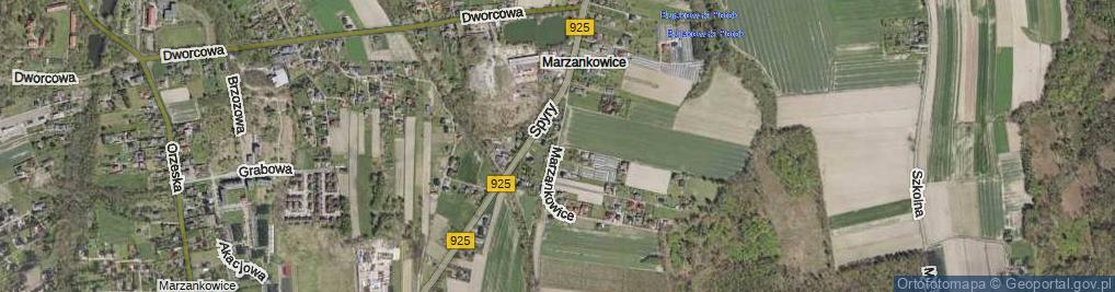 Zdjęcie satelitarne Marzankowice ul.