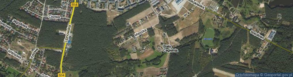 Zdjęcie satelitarne Mieszka I ul.