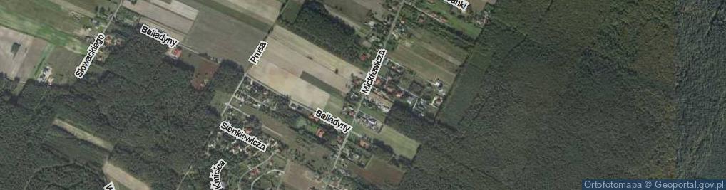 Zdjęcie satelitarne Mickiewicza Adama ul.