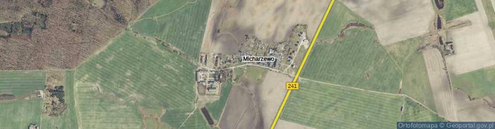 Zdjęcie satelitarne Micharzewo ul.