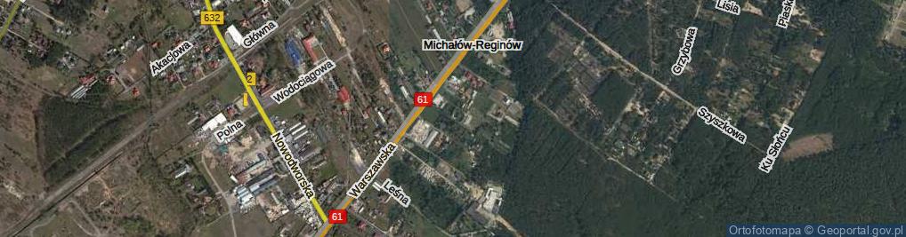 Zdjęcie satelitarne Michałów-Reginów ul.