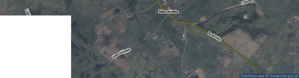 Zdjęcie satelitarne Mieczkówka ul.