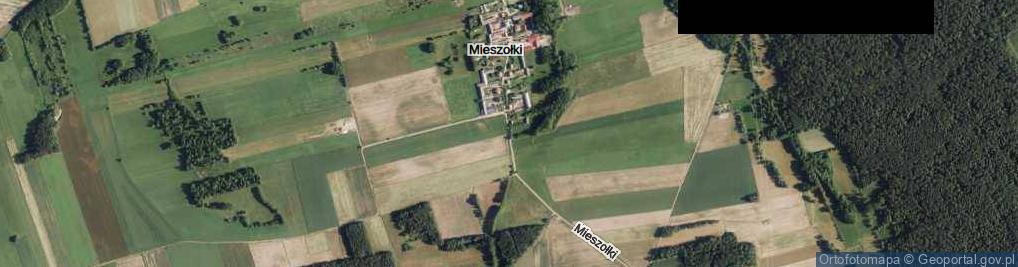 Zdjęcie satelitarne Mieszołki ul.