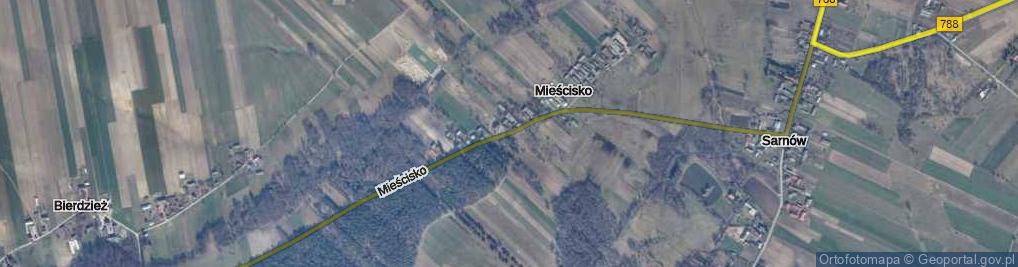 Zdjęcie satelitarne Mieścisko ul.