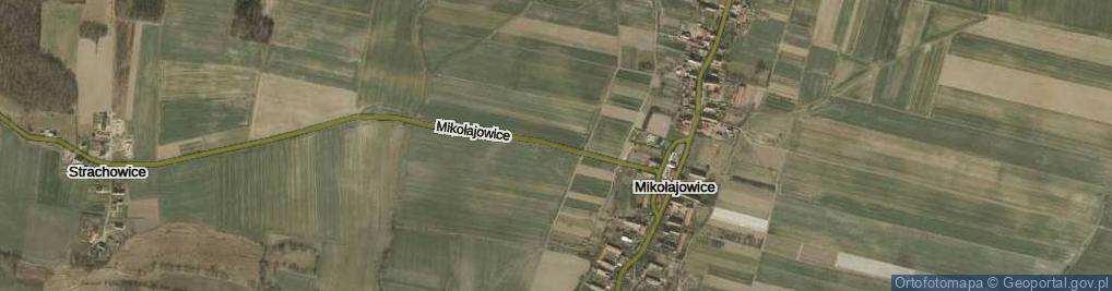 Zdjęcie satelitarne Mikołajowice ul.