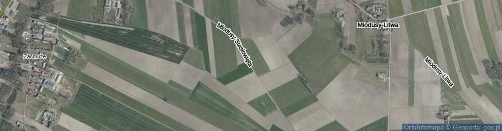 Zdjęcie satelitarne Miodusy-Stasiowięta ul.