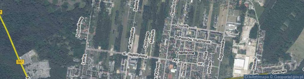 Zdjęcie satelitarne Mieszka I ul.