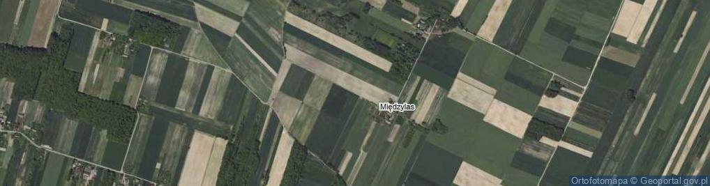 Zdjęcie satelitarne Międzylas ul.