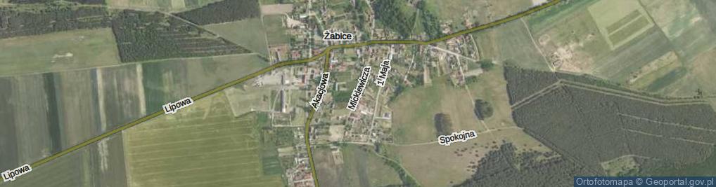 Zdjęcie satelitarne Mickiewicza Adama ul.