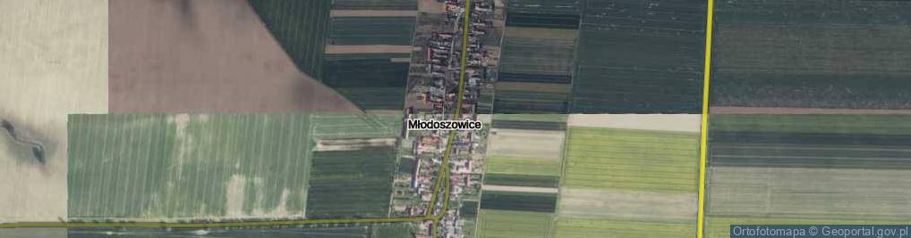 Zdjęcie satelitarne Młodoszowice ul.