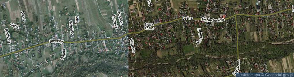 Zdjęcie satelitarne Morwy ul.