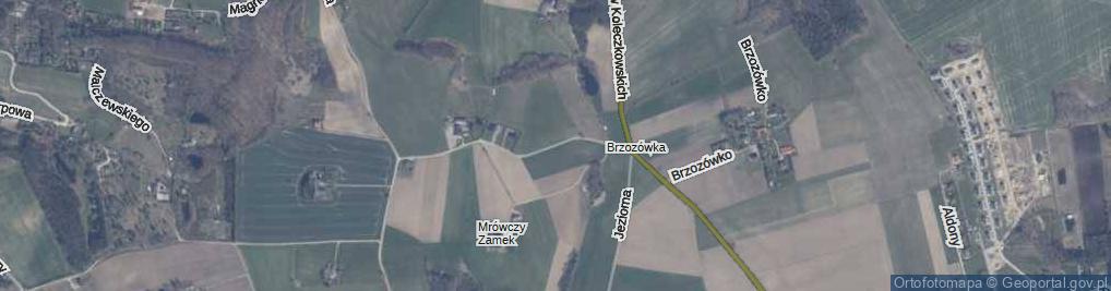 Zdjęcie satelitarne Mrówczy Zamek ul.