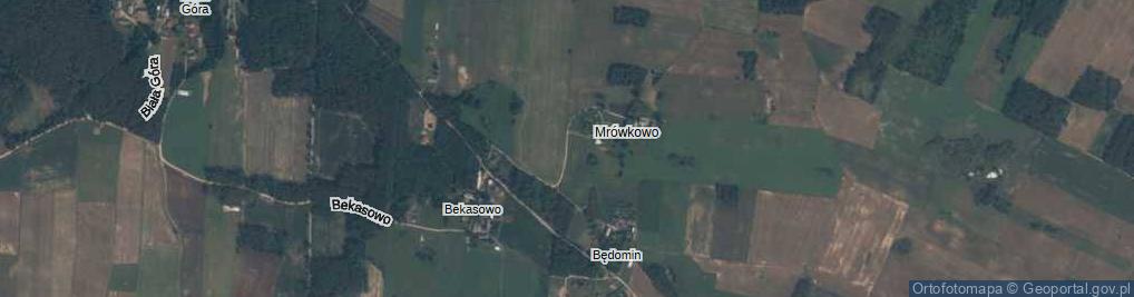 Zdjęcie satelitarne Mrówkowo ul.