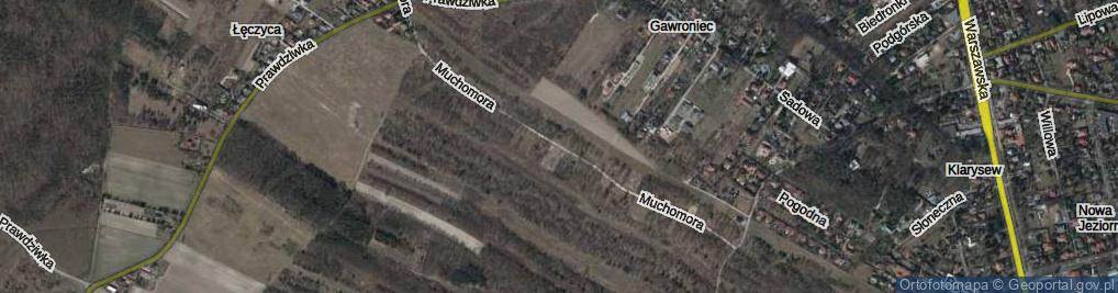Zdjęcie satelitarne Muchomora ul.