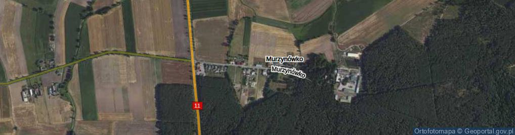 Zdjęcie satelitarne Murzynówko ul.
