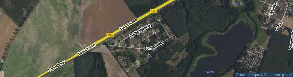 Zdjęcie satelitarne Muchomorowa ul.