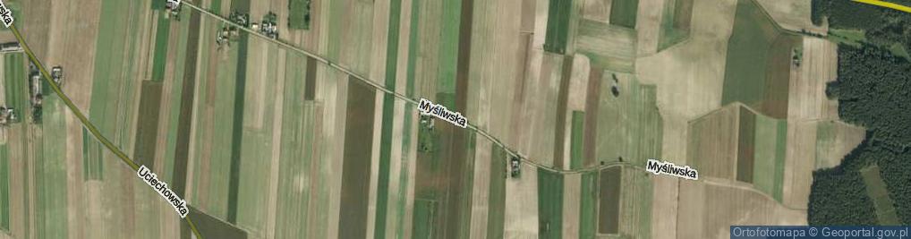 Zdjęcie satelitarne Myśliwska ul.