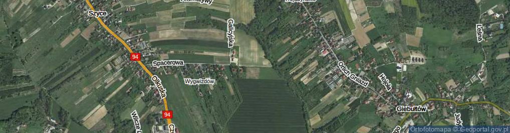 Zdjęcie satelitarne Na Wygwizdów ul.