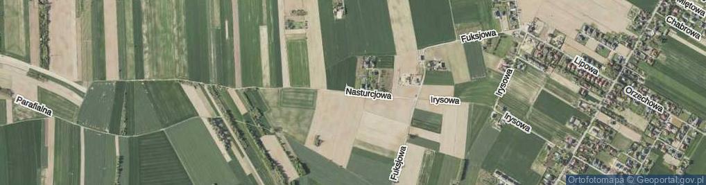 Zdjęcie satelitarne Nasturcjowa ul.