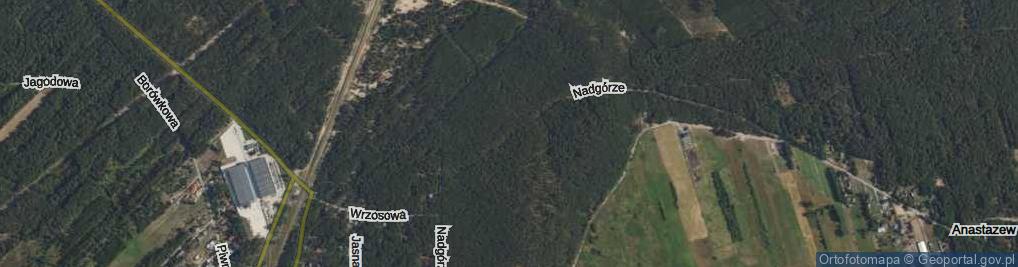 Zdjęcie satelitarne Nadgórze ul.