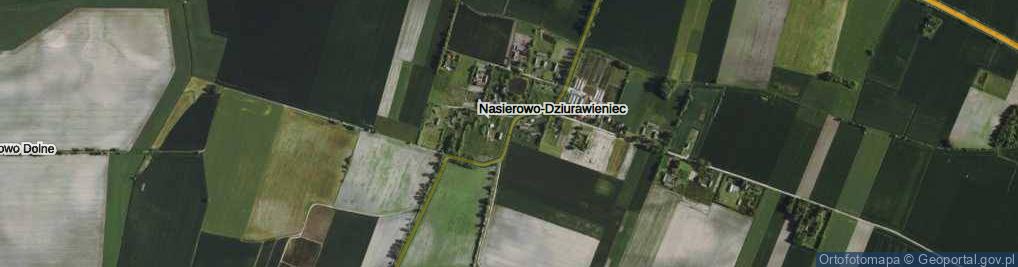 Zdjęcie satelitarne Nasierowo-Dziurawieniec ul.