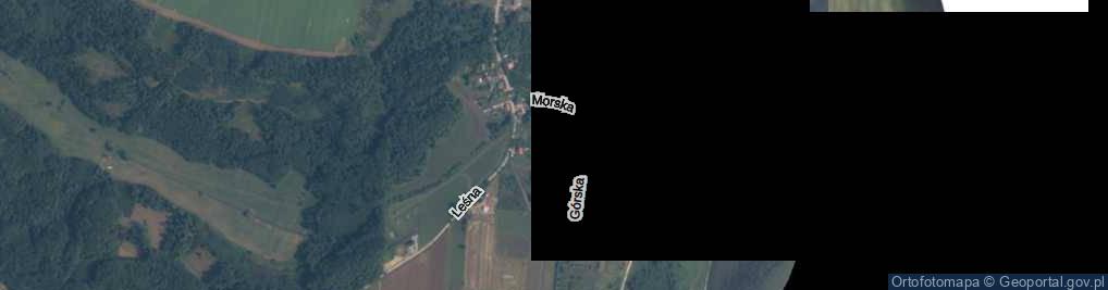 Zdjęcie satelitarne Nad Gizdepką ul.